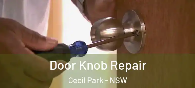 Door Knob Repair Cecil Park - NSW