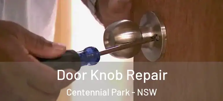 Door Knob Repair Centennial Park - NSW