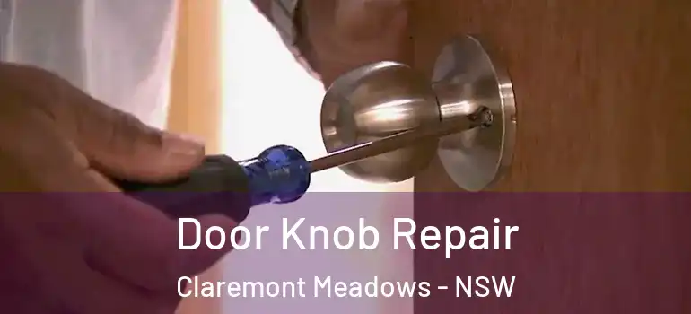 Door Knob Repair Claremont Meadows - NSW