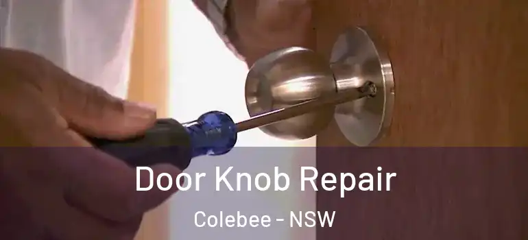  Door Knob Repair Colebee - NSW