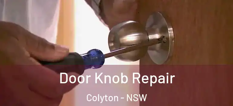 Door Knob Repair Colyton - NSW