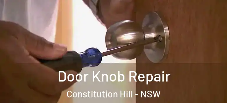  Door Knob Repair Constitution Hill - NSW