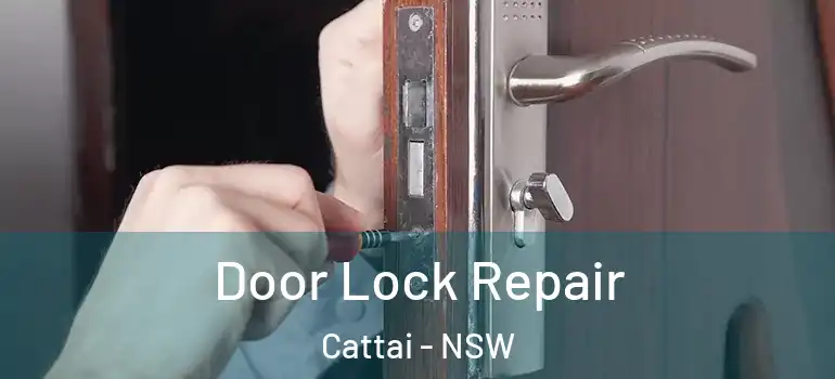 Door Lock Repair Cattai - NSW