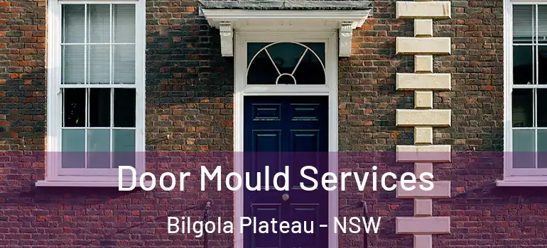  Door Mould Services Bilgola Plateau - NSW
