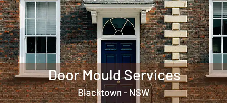  Door Mould Services Blacktown - NSW