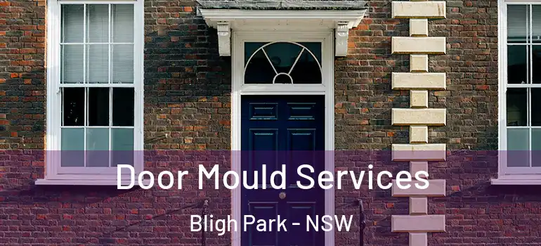  Door Mould Services Bligh Park - NSW