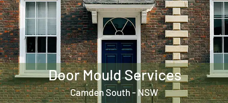 Door Mould Services Camden South - NSW