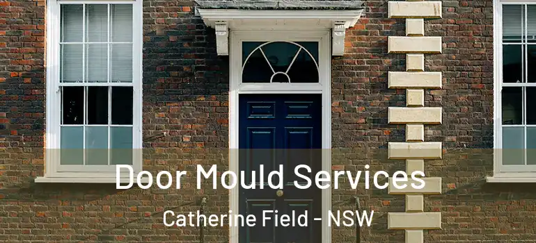 Door Mould Services Catherine Field - NSW