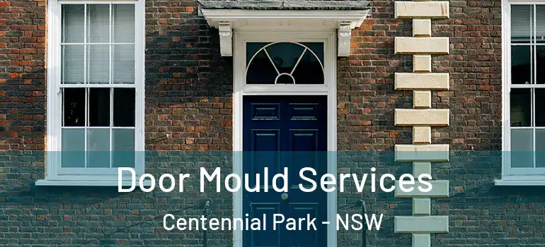 Door Mould Services Centennial Park - NSW