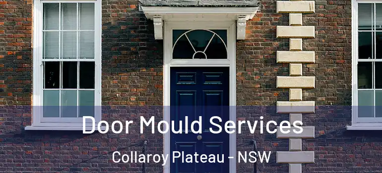  Door Mould Services Collaroy Plateau - NSW