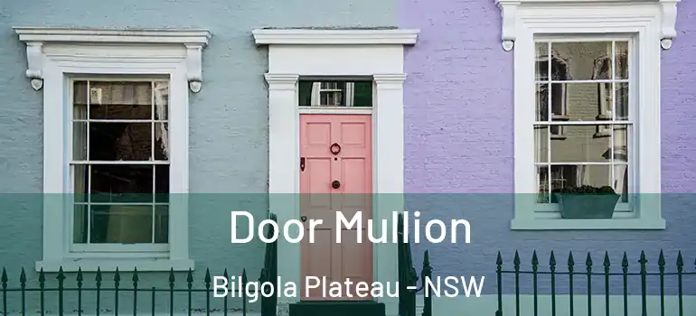 Door Mullion Bilgola Plateau - NSW
