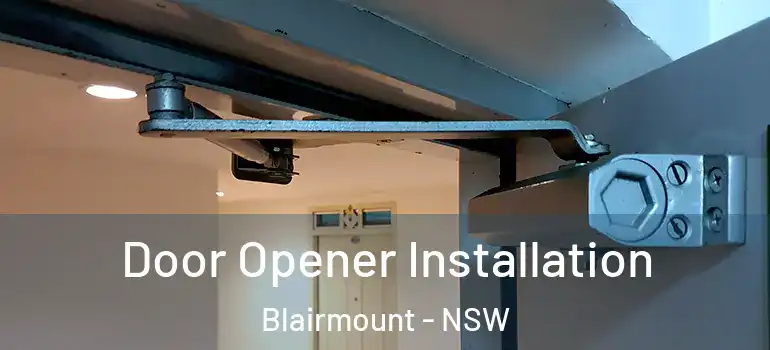 Door Opener Installation Blairmount - NSW