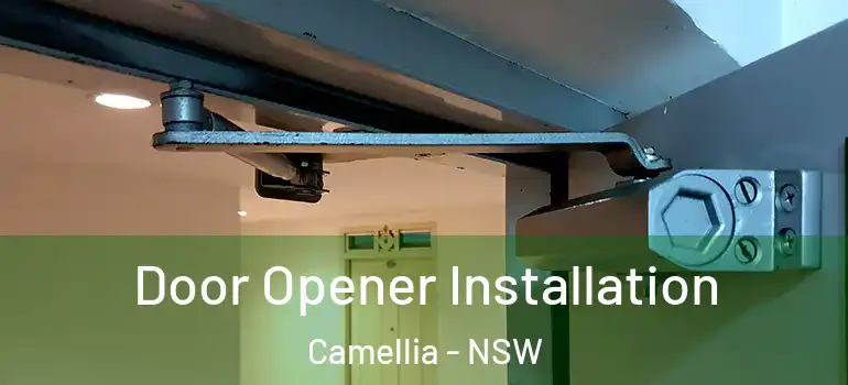 Door Opener Installation Camellia - NSW
