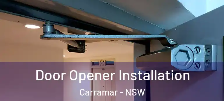  Door Opener Installation Carramar - NSW
