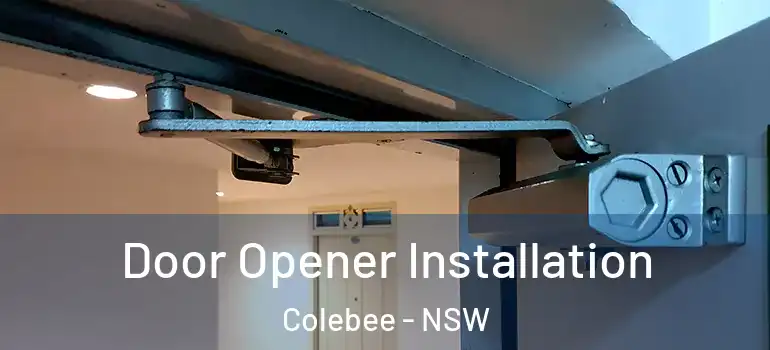 Door Opener Installation Colebee - NSW