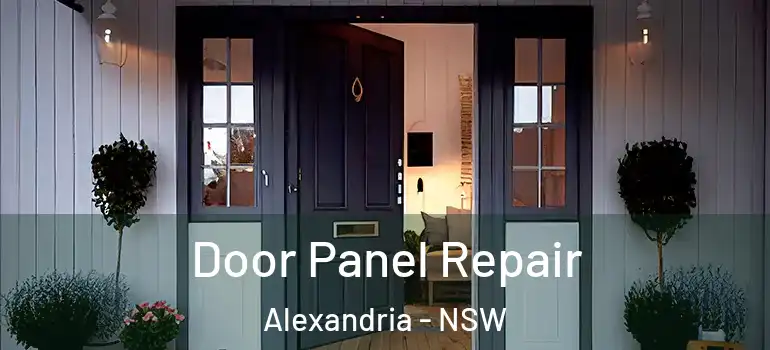  Door Panel Repair Alexandria - NSW