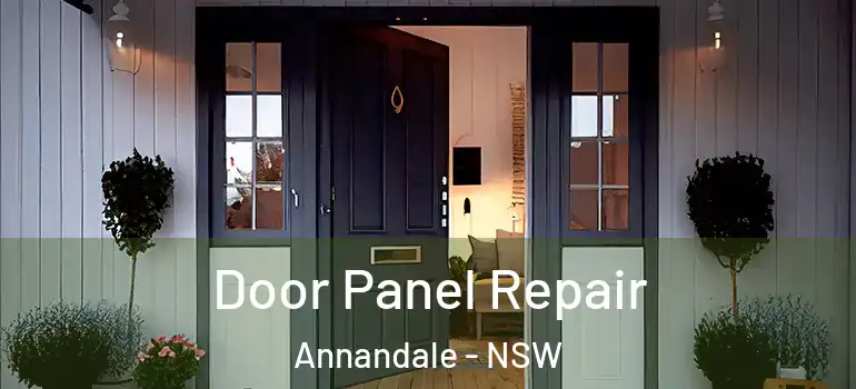  Door Panel Repair Annandale - NSW