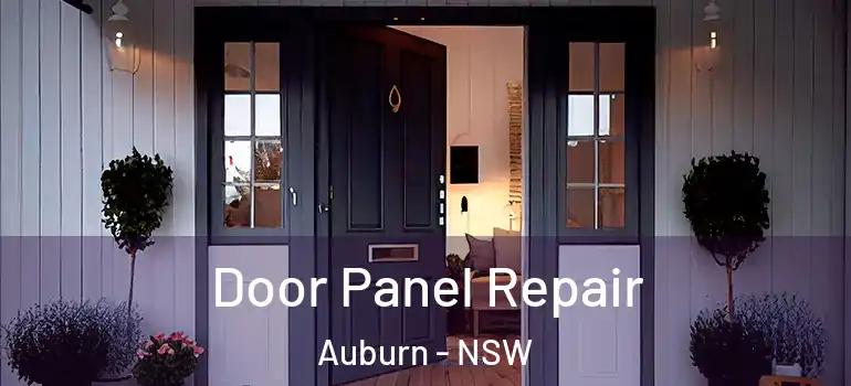  Door Panel Repair Auburn - NSW