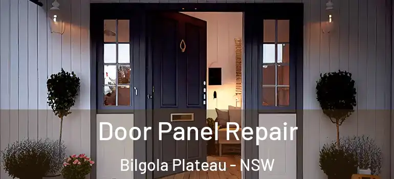  Door Panel Repair Bilgola Plateau - NSW