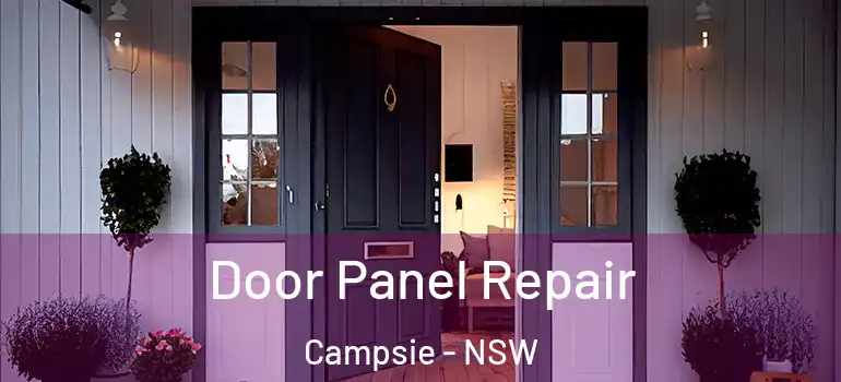  Door Panel Repair Campsie - NSW