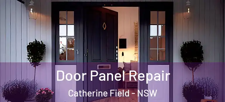 Door Panel Repair Catherine Field - NSW