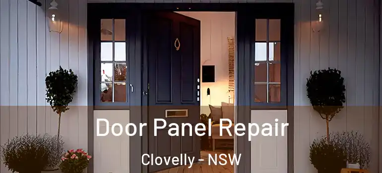 Door Panel Repair Clovelly - NSW