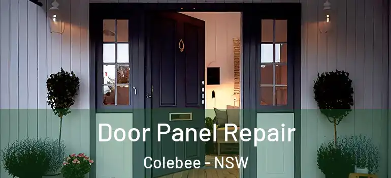  Door Panel Repair Colebee - NSW