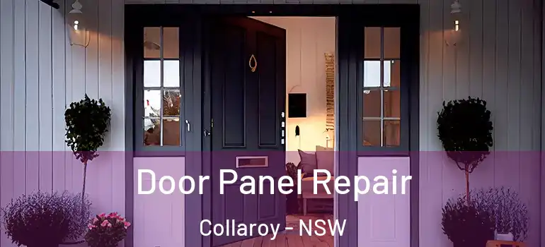  Door Panel Repair Collaroy - NSW