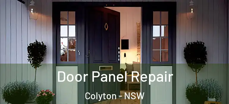  Door Panel Repair Colyton - NSW