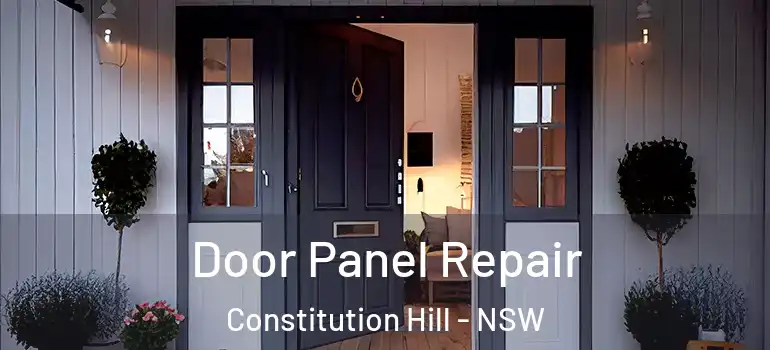 Door Panel Repair Constitution Hill - NSW