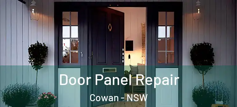  Door Panel Repair Cowan - NSW