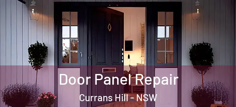  Door Panel Repair Currans Hill - NSW