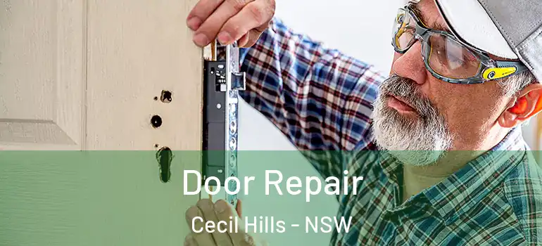 Door Repair Cecil Hills - NSW
