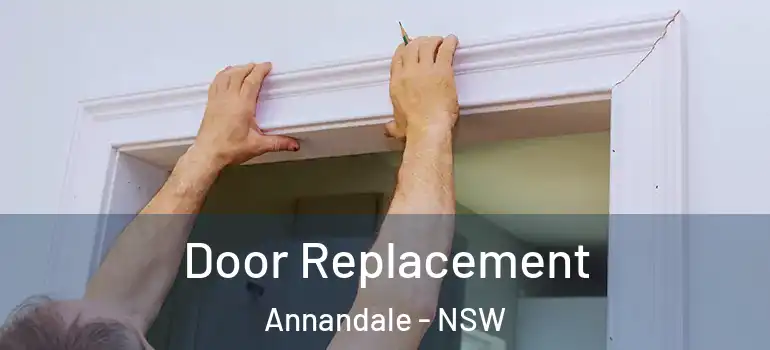 Door Replacement Annandale - NSW