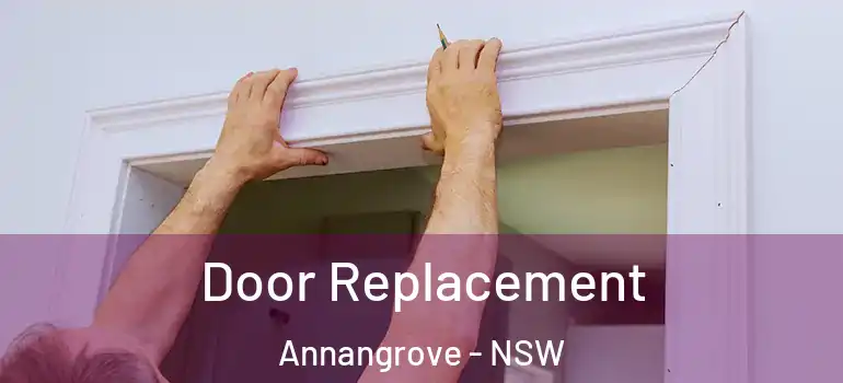 Door Replacement Annangrove - NSW
