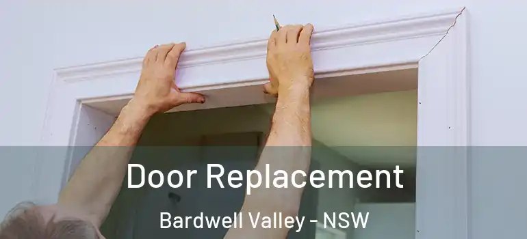 Door Replacement Bardwell Valley - NSW