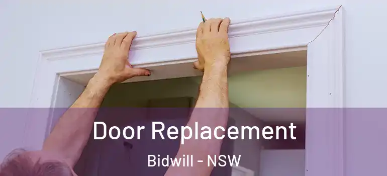  Door Replacement Bidwill - NSW