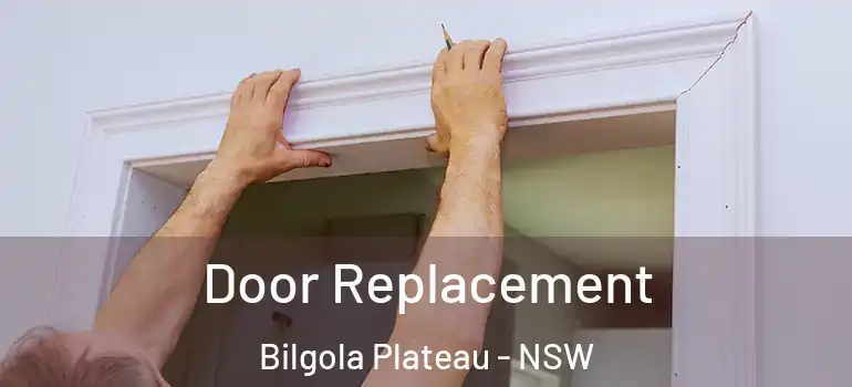 Door Replacement Bilgola Plateau - NSW