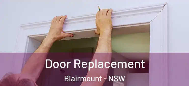 Door Replacement Blairmount - NSW