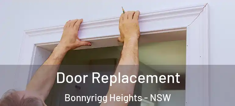 Door Replacement Bonnyrigg Heights - NSW