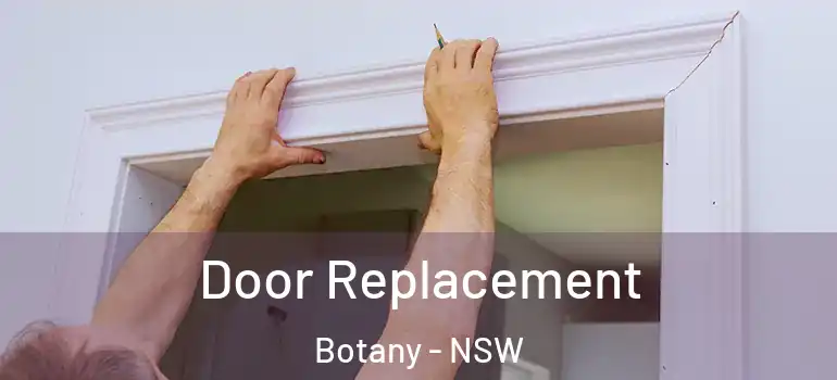  Door Replacement Botany - NSW