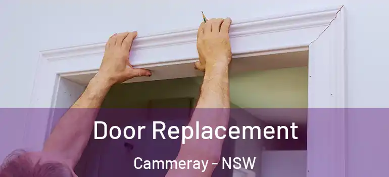 Door Replacement Cammeray - NSW