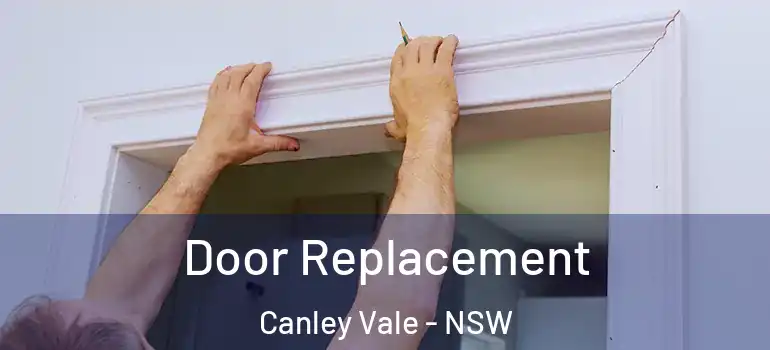 Door Replacement Canley Vale - NSW