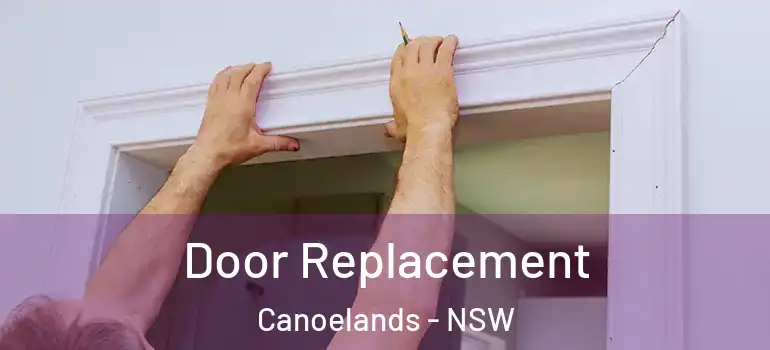  Door Replacement Canoelands - NSW