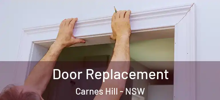  Door Replacement Carnes Hill - NSW