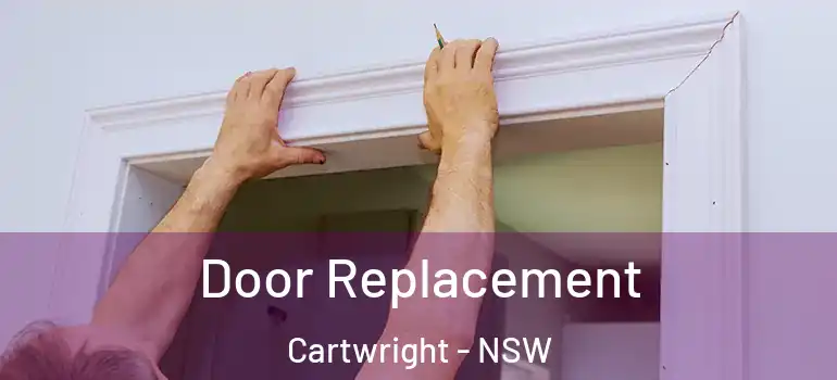 Door Replacement Cartwright - NSW