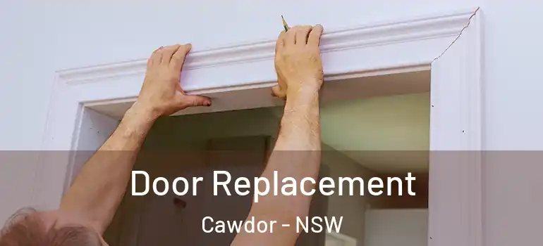 Door Replacement Cawdor - NSW