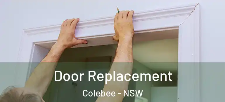 Door Replacement Colebee - NSW