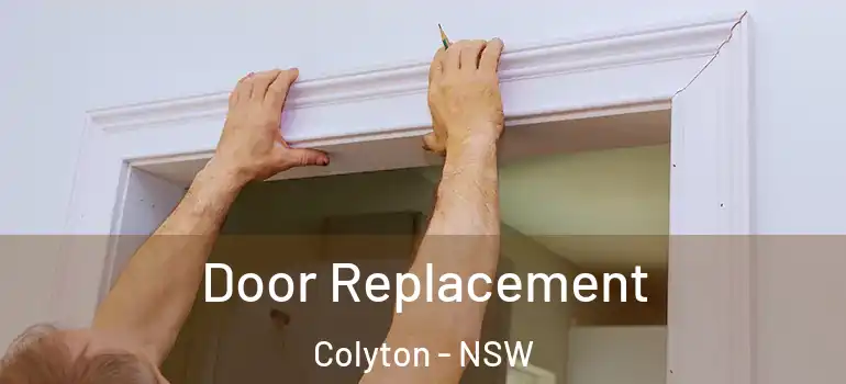 Door Replacement Colyton - NSW