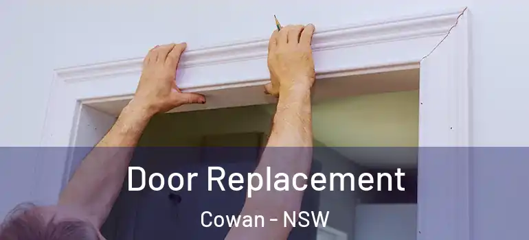 Door Replacement Cowan - NSW